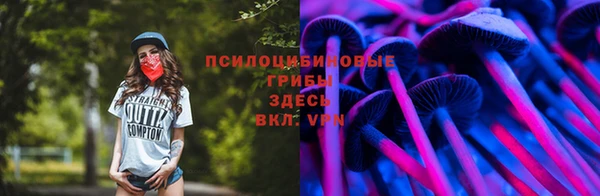 a pvp Алексин