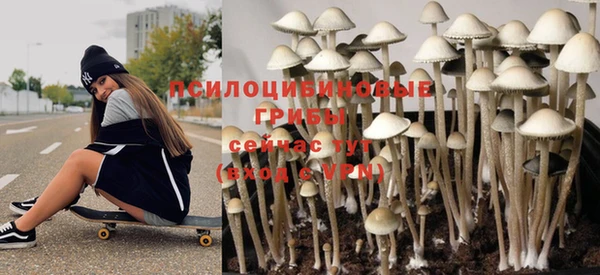 a pvp Алексин
