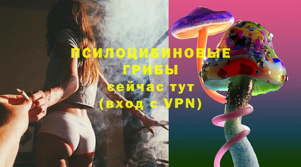 молекула духа Алексеевка